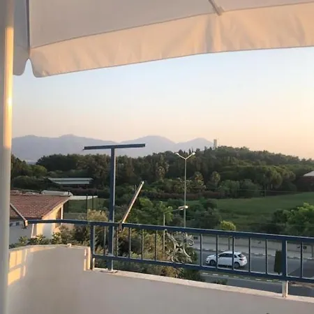 Forest View Entire House 빌라