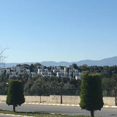 Forest View Entire House 빌라 *